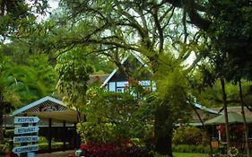 Thomsons Falls Lodge
